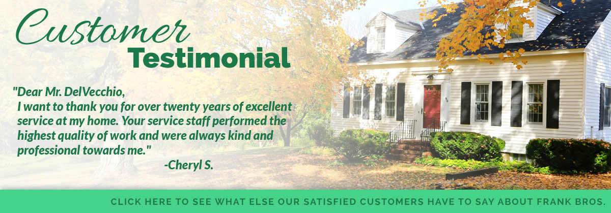 testimonial2.jpg